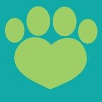 Animal Foundation