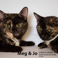 Friends of the Taunton Animal Care Facility
