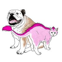 K-9 & Kitty Kutters