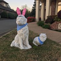 Chenal Valley Animal Hospital