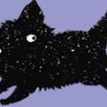 Feline Rescue and Rehome