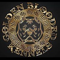 Golden Blooded Kennels