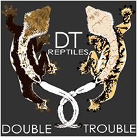 Double Trouble Reptiles