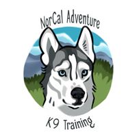 NorCal Adventure K9 Training