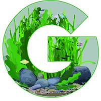 Gray’s Aquarium Maintenance and Supply