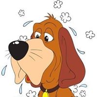 All Wags N Whiskers