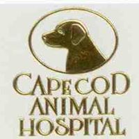 Cape Cod Animal Hospital
