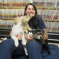 Anchor Animal Hospital
