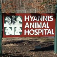 Hyannis Animal Hospital