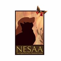 NESAA (New England Society for Abandoned Animals)