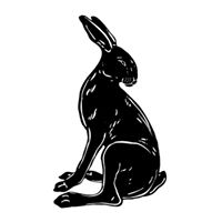 Black Rabbit Salon