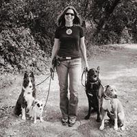 Grateful K9 Training