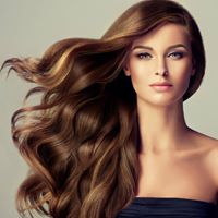 The Wild Hare Salon