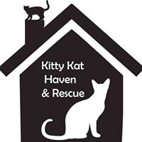 Kitty Kat Haven & Rescue