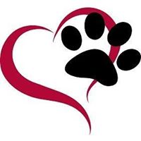Pete’s Dog Behavior Training