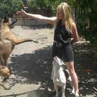 Lonely Hunters Dog Training