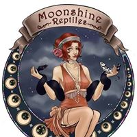Moonshine Reptiles