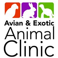 The Avian and Exotic Animal Clinic of Arizona