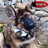 Granite State K9