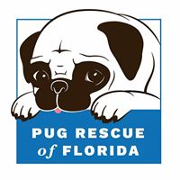 Pug Rescue of Florida