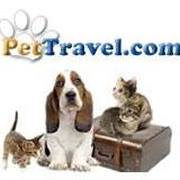 PetTravel