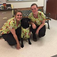Soldotna Animal Hospital
