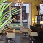 Salon Onyx – Toledo, OH