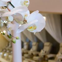 Jonathon Khoi Nail Spa – Sylvania Township