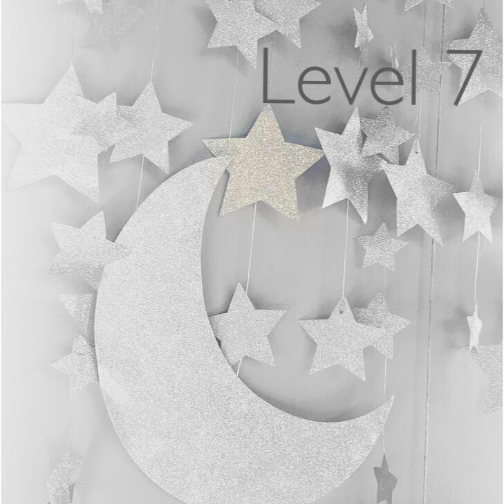 Level 7 Salon