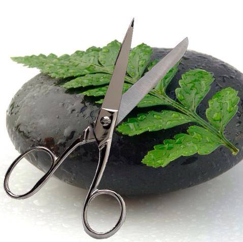 Fusion Salon