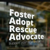 Rescue Cats of Florida