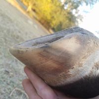 Brad’s Natural Hoof Care