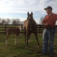 Franklin Equine Services, LLC