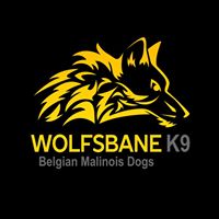 Wolfsbane K9