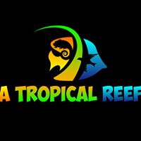 A Tropical Reef Saltwater Fish & Coral