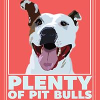 Plenty of Pit Bulls