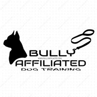 Bully Affiliated LLC