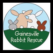 Gainesville Rabbit Rescue