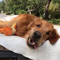 Everybody Loves Maverick