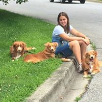 Inspirational Dog Services