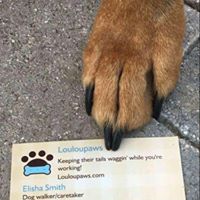 LouLou Paws