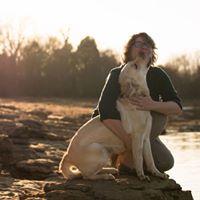 DarkWood Dog Training