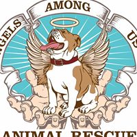 Angels Among Us Animal Rescue