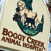 Boggy Creek Animal Hospital