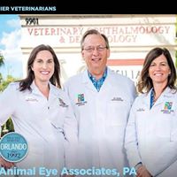 Animal Eye Associates