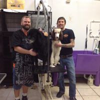 Pet Emporium
