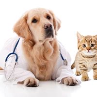 Veterinarian Club