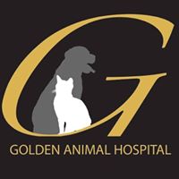 Golden Animal Hospital