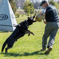 Delmarva German Shepherd Dog Club