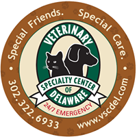 Veterinary Specialty Center of Delaware